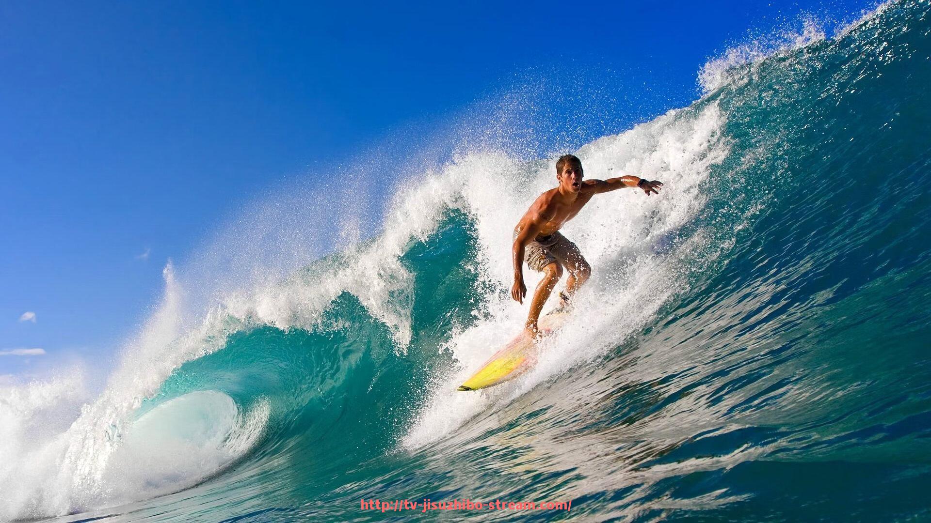 极速直播-减肥必备健身器材：哪些器材最适合减肥？